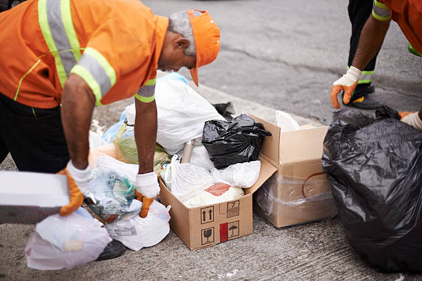 Professional Junk Removal in Greenville, FL